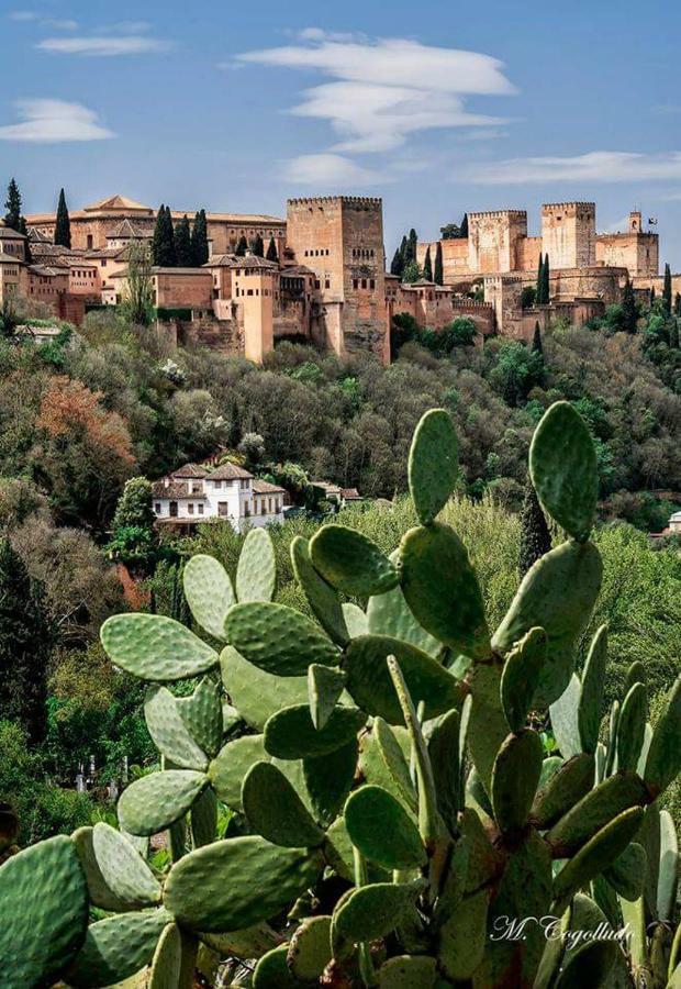 Apartamento Realejo Centro Ciudad Granada Dış mekan fotoğraf